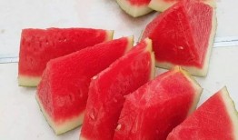 每日大赛 吃瓜是什么意思